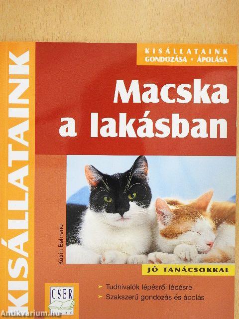 Macska a lakásban