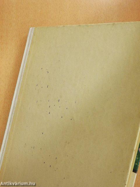 A hatrongyosi kakasok