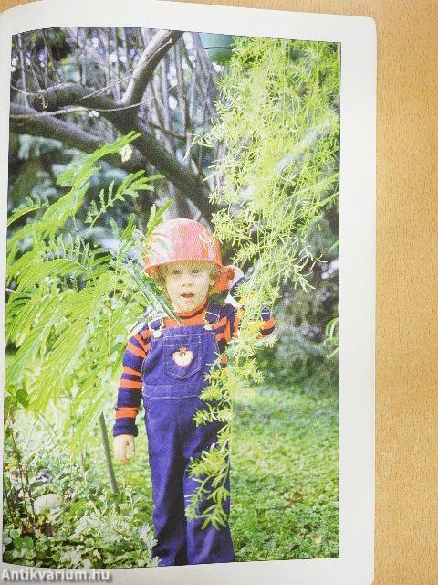 Az ember teste és egészsége