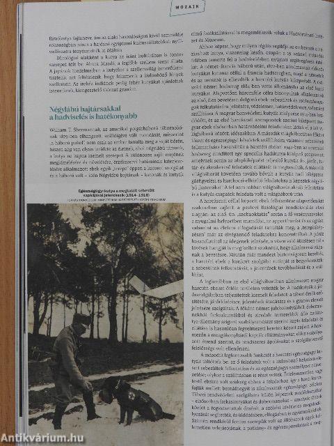 Magyar Kultúra 2022/7.