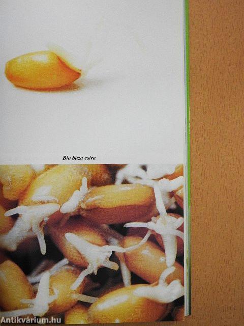Az ÉLET csírájában