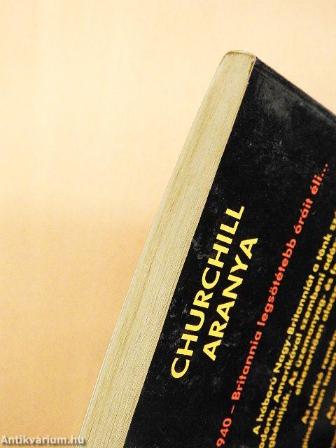 Churchill aranya