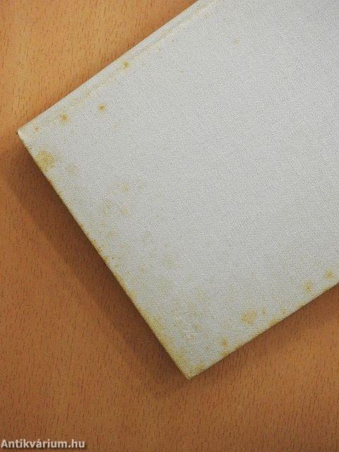 A felderítő elégiája