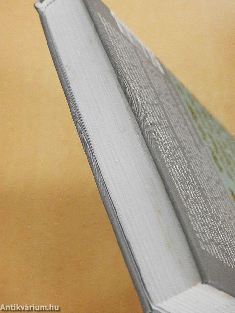 A szerelem országútján