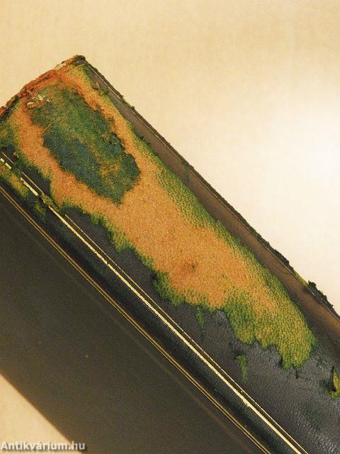 Heinrich Heines Sämtliche Werke IX.