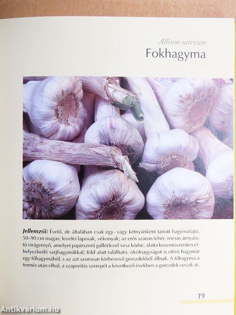 Fűszerek kézikönyve