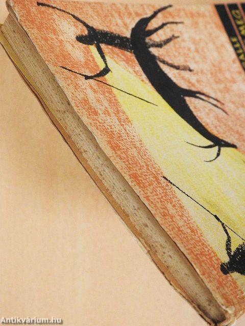 Hogyan tanult meg az ember gondolkodni és beszélni?