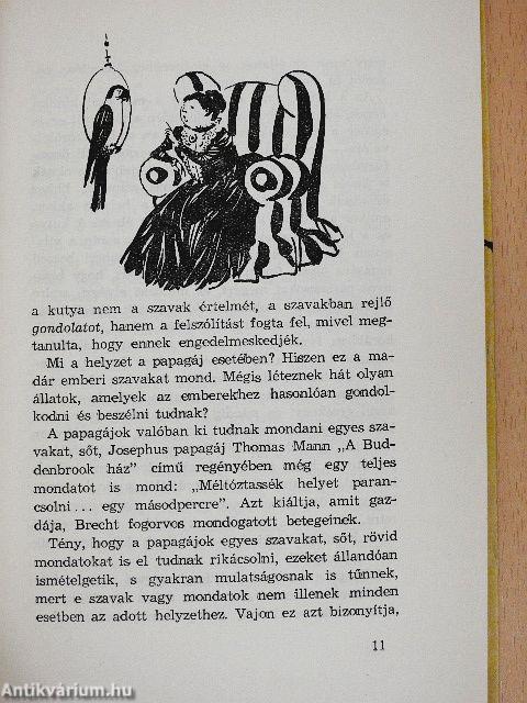 Hogyan tanult meg az ember gondolkodni és beszélni?