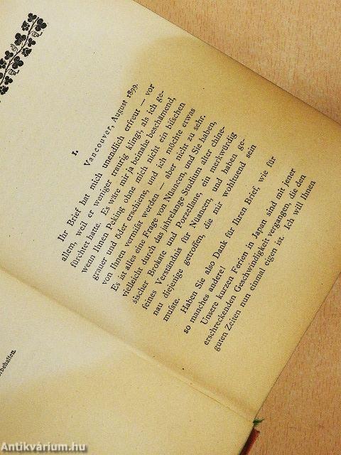 Briefe, die Ihn nicht Erreichten