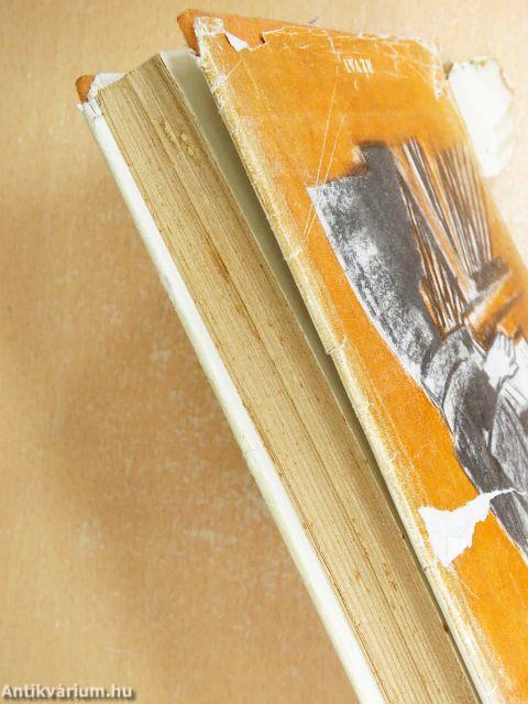 A szomszédság nevében