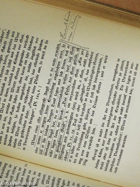 Vorlesung über den Römerbrief (gótbetűs)