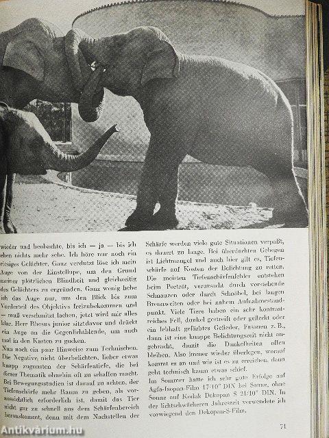 Fotofalter 1957. Januar-Dezember