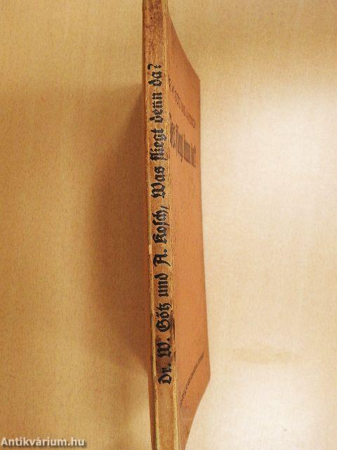 Was fliegt denn da? (gótbetűs)