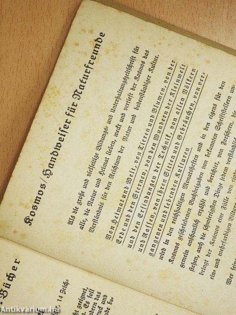 Was fliegt denn da? (gótbetűs)