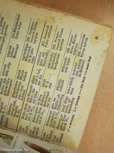 Was fliegt denn da? (gótbetűs)