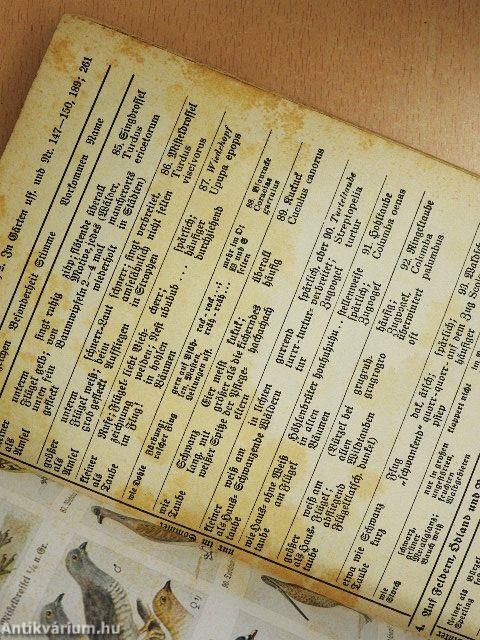 Was fliegt denn da? (gótbetűs)