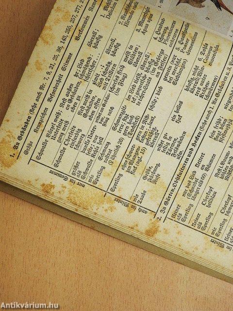 Was fliegt denn da? (gótbetűs)