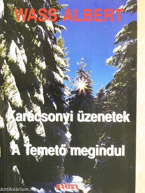 Karácsonyi üzenetek/A Temető megindul