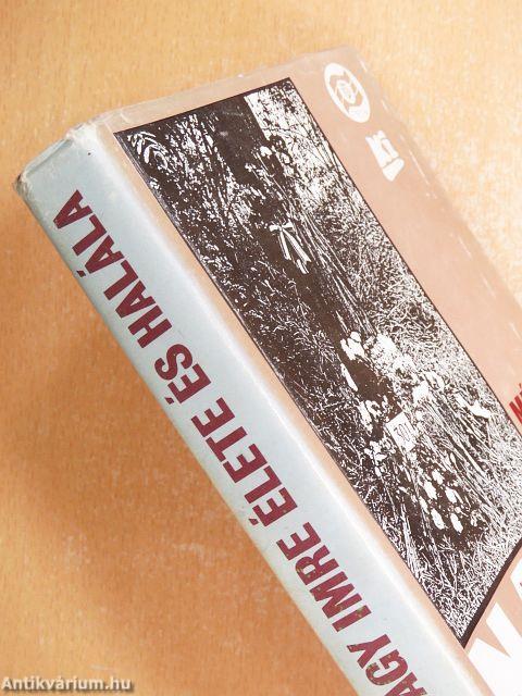 Nagy Imre élete és halála