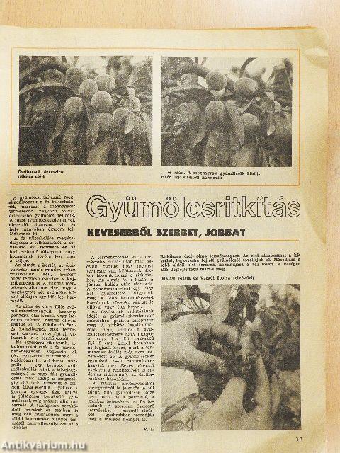 Kertbarát Magazin 1984. nyár