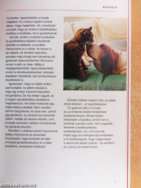 Mit gondol a kutyám?