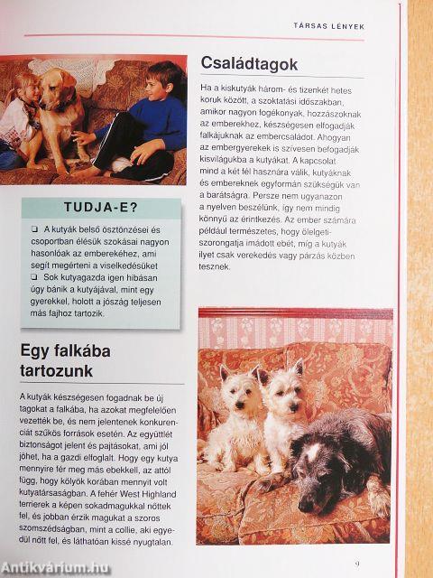 Mit gondol a kutyám?