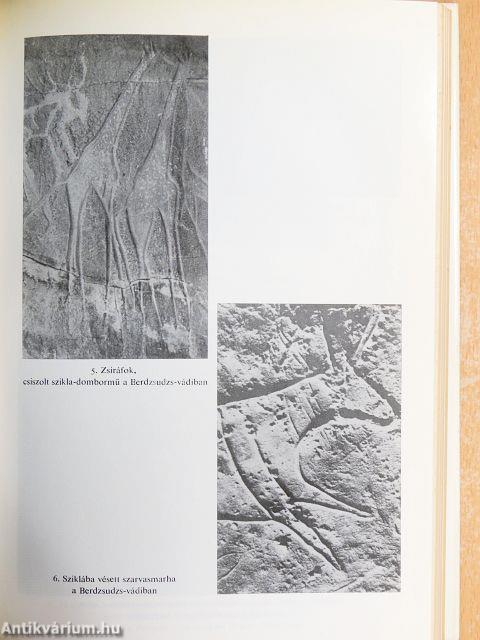 Fények a Szaharában