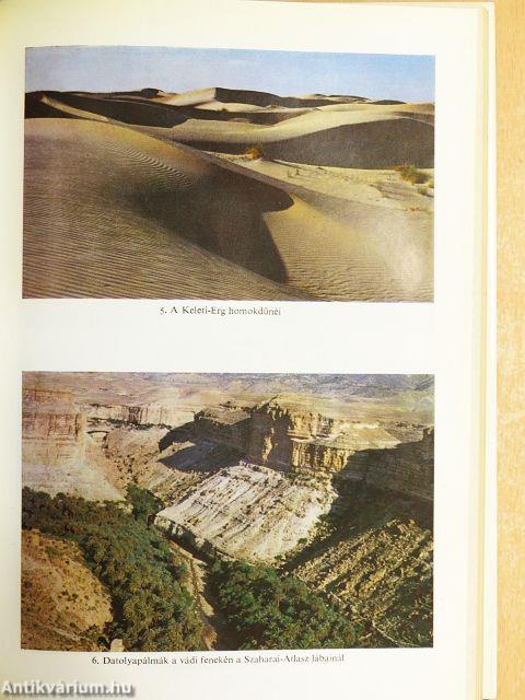 Fények a Szaharában