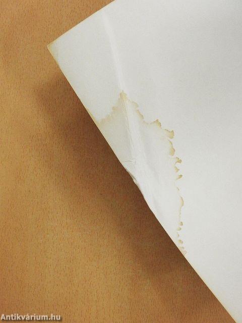 Magyar népmesekatalógus 4.