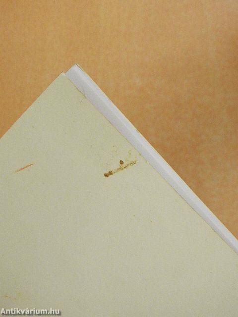 100 év fényében és árnyékában