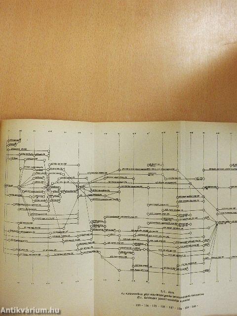 Esettanulmányok a szervezési-vezetési ismeretek kistantermi oktatásához