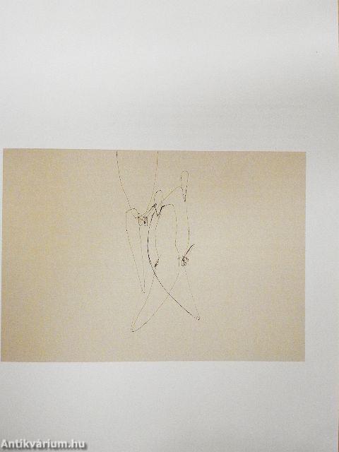 Játék a büntethetetlen fantázia bűnével