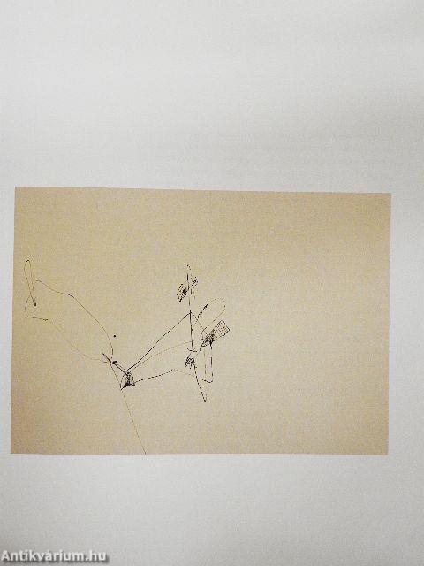 Játék a büntethetetlen fantázia bűnével