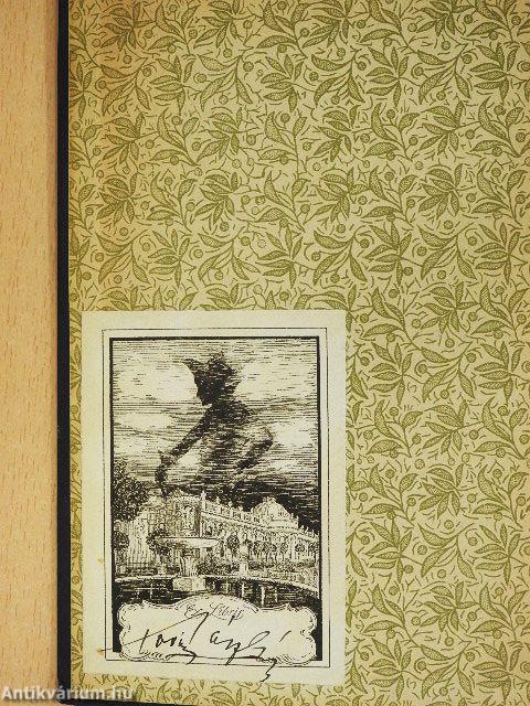 Akit nem szabad szeretni