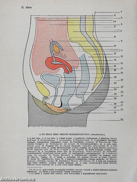 A tökéletes házasság