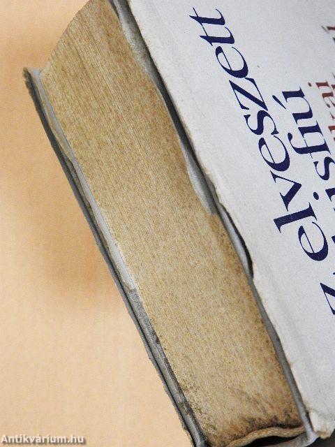 Az elveszett kisfiú