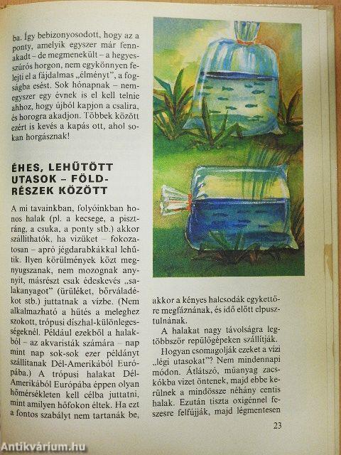 Bölcső a víz alatt