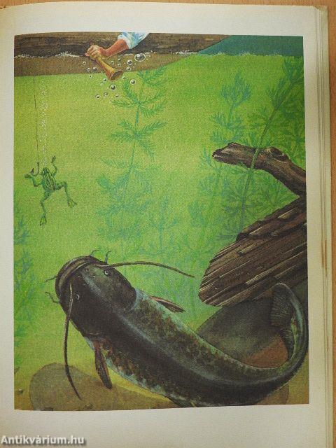 Bölcső a víz alatt