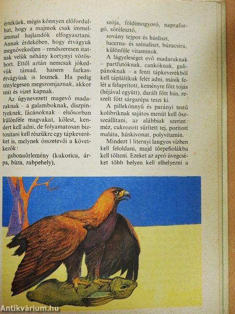 Állatkerti boszorkánykonyha