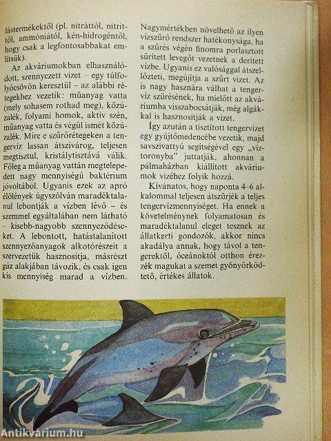 Állatkerti boszorkánykonyha