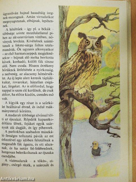 Állatkerti boszorkánykonyha