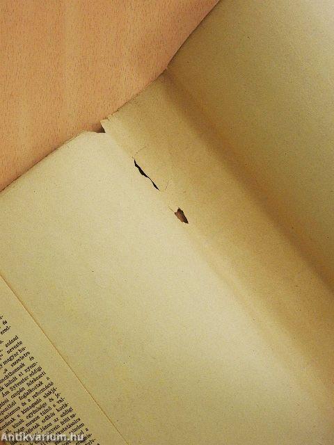 Sylvester János és kora