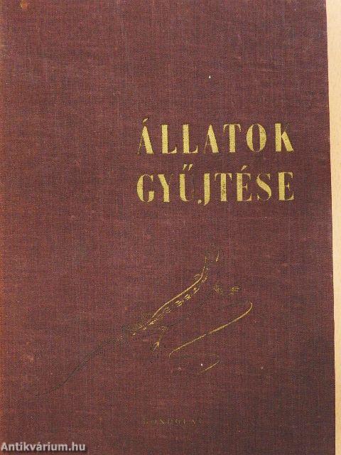 Állatok gyűjtése