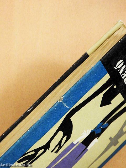 Utazás a szürke folyón