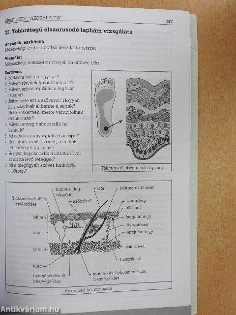 Témavázlatok a biológia tanulásához
