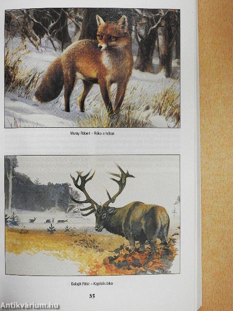 Millenniumi vadászévkönyv 2001.