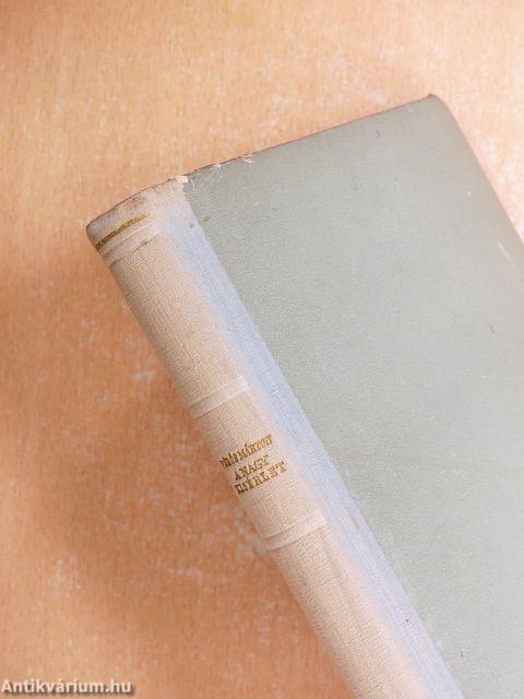 A nagy kisérlet