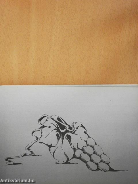 Borkönyv (kétszeresen dedikált példány)