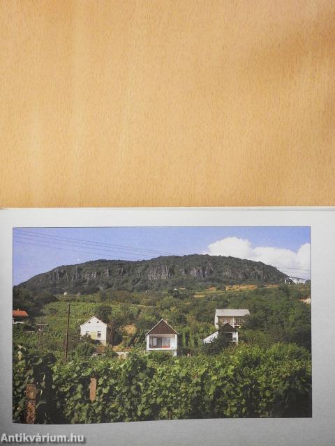 Borkönyv (kétszeresen dedikált példány)