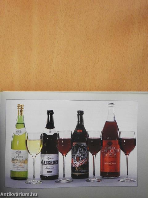 Borkönyv (kétszeresen dedikált példány)